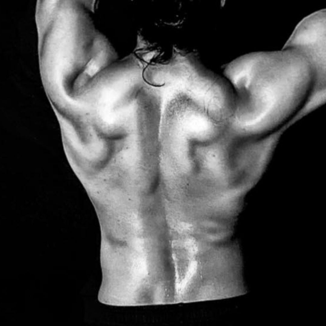 Back Attack